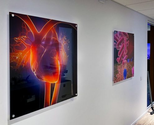 Tavlor i Plexiglas på vägg i kontor